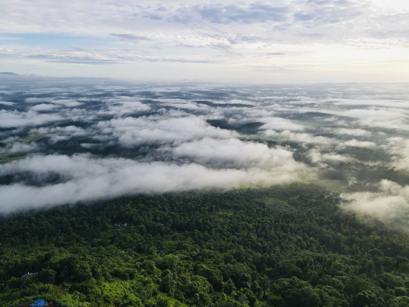 Western Ghats mist aerial